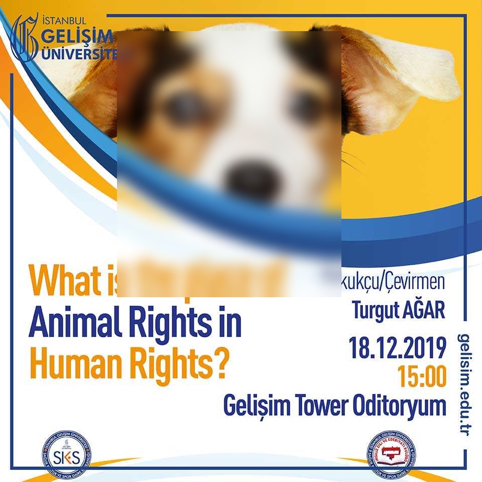 What is the place of Animal Rights in Human Rights?