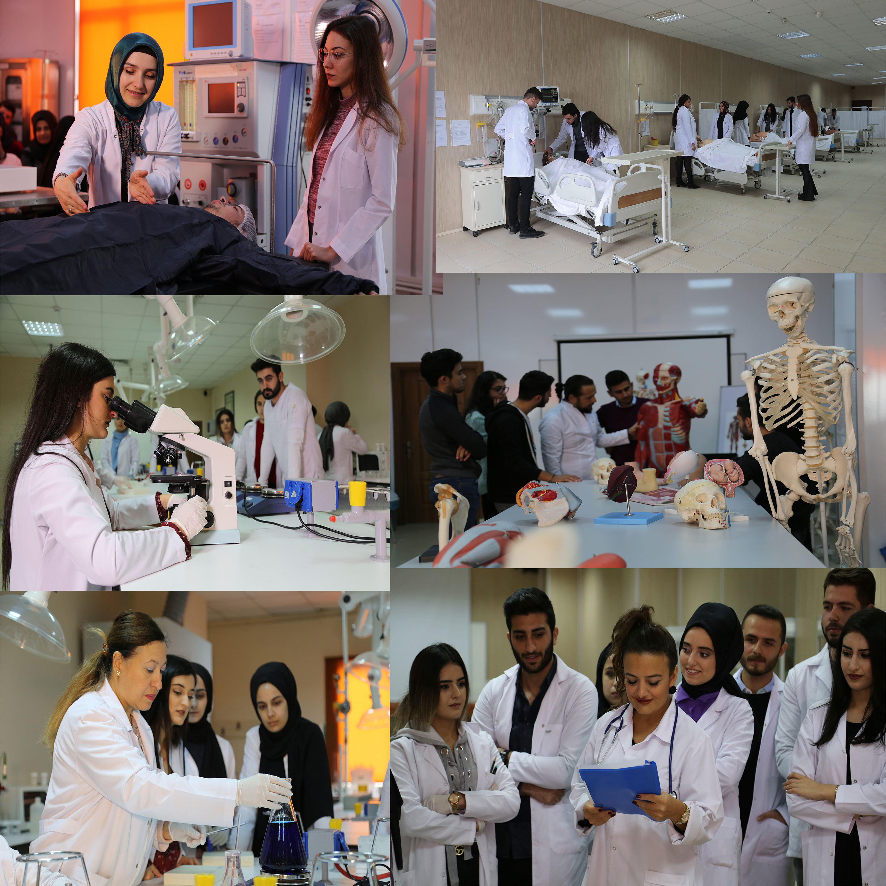 Istanbul Gelisim University Laboratories