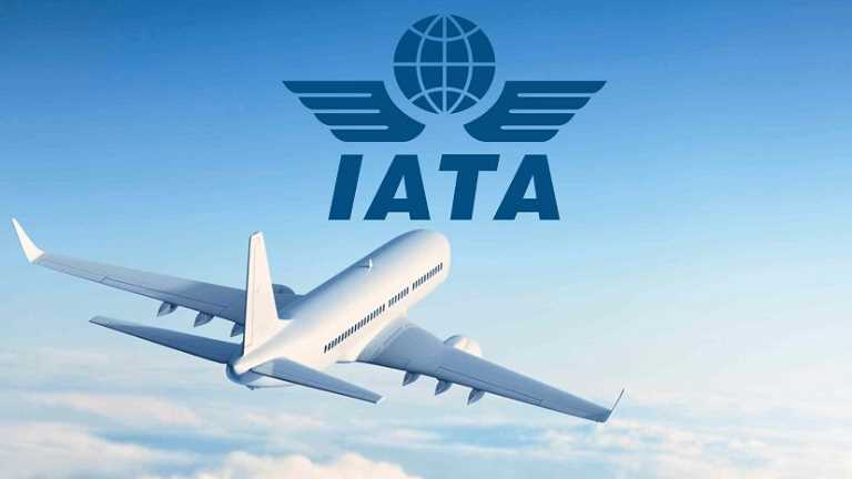  Uluslararası Hava Taşımacılığı Birliği (IATA)