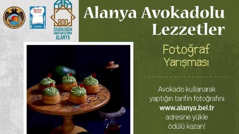 ALANYA AVACADO TASTES PHOTOGRAPHY CONTEST