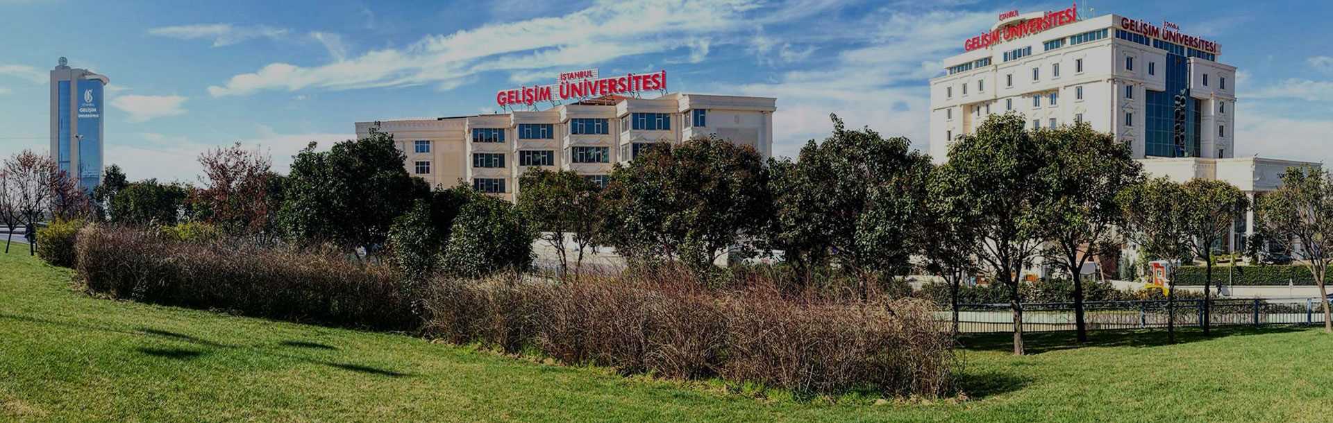 Istanbul Gelişim Üniversitesi - Psikolojik Danışmanlık ve Rehberlik