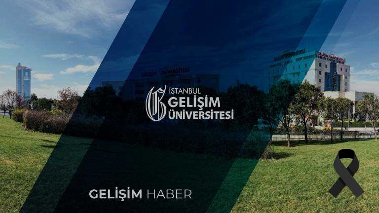 lisansustu egitim enstitusu istanbul gelisim universitesi