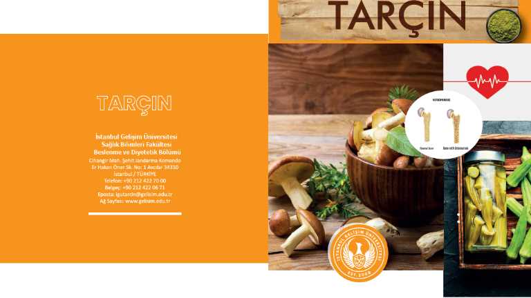 The 2021-22 Issue of TARCIN Has Been Published!