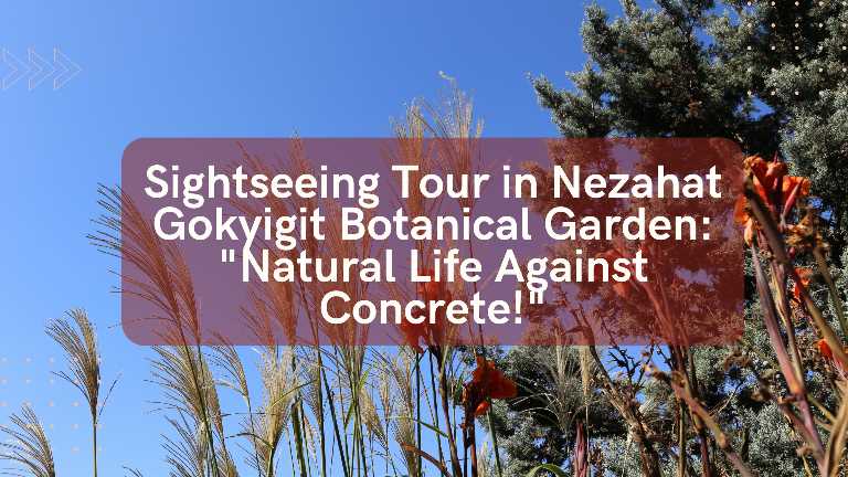 ngbb tour botanical garden