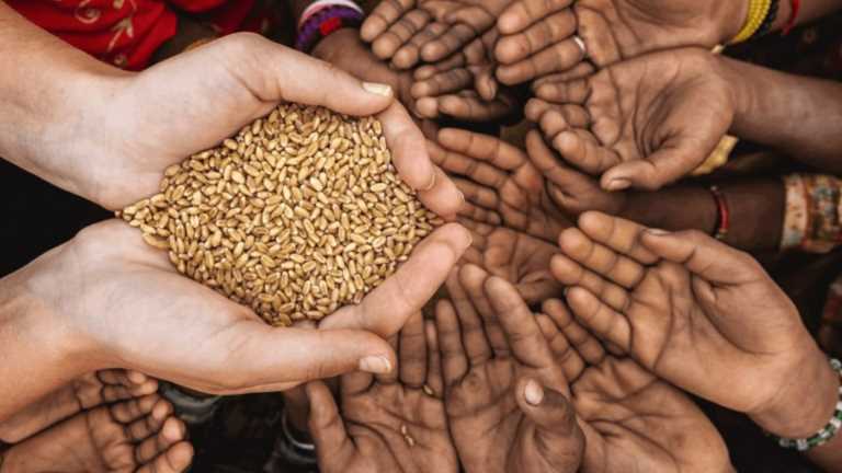 Dünyanın 'ekmek sepeti' ve Küresel Gıda Krizi