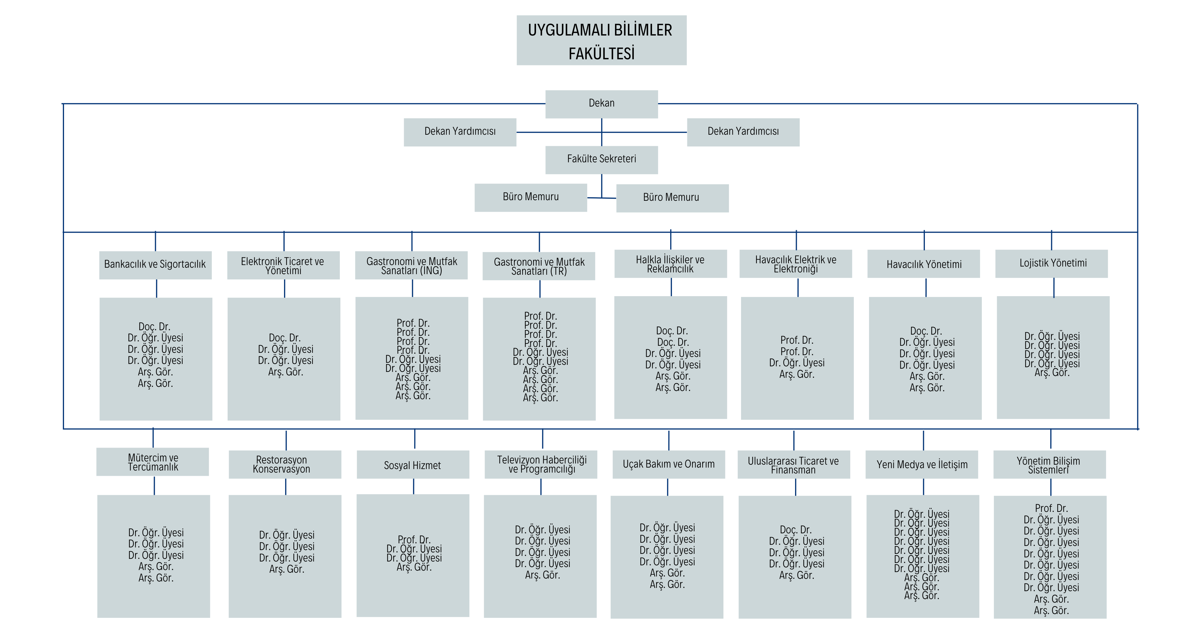 UBF Organizasyon Şeması