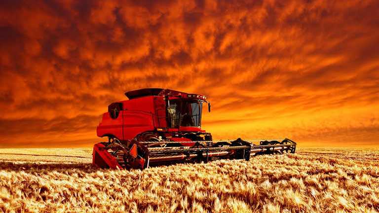 Black Sea Grain Initiative