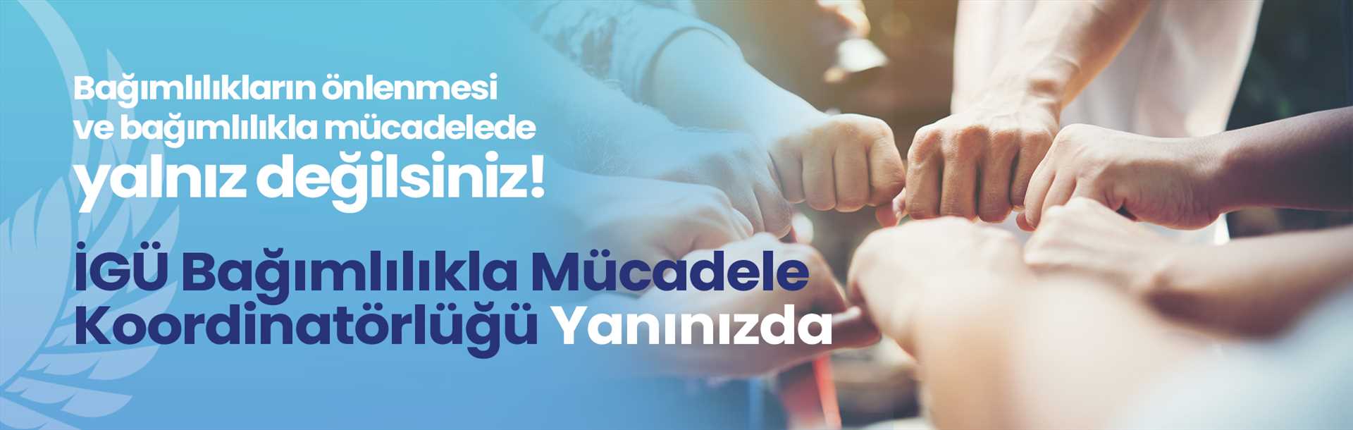 Bağımlılıklarla Mücadele Birimi