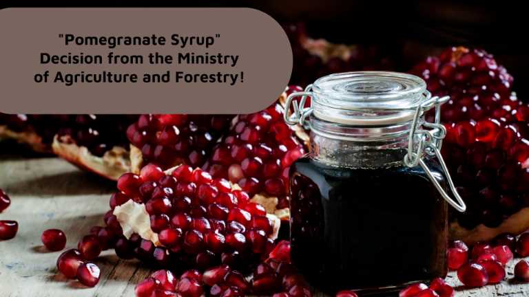 Pomegranate Syrup Sauce