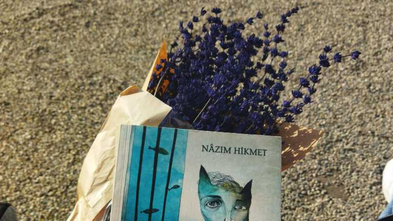 nazım