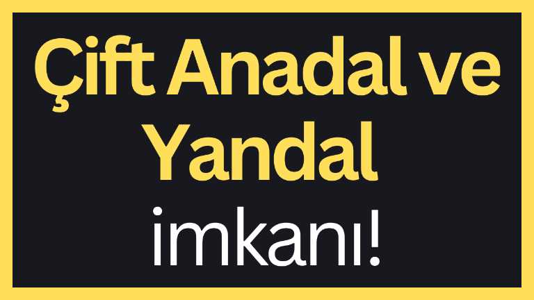 İstanbul Gelişim Üniversitesi’nde Çift Anadal ve Yandal imkanı!