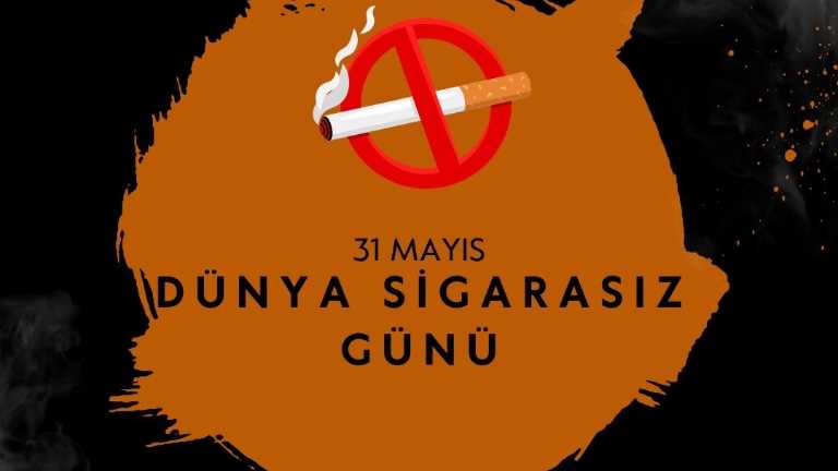 İstanbul Gelişim Üniversitesi