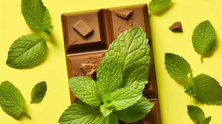 Chocolate Mint Day