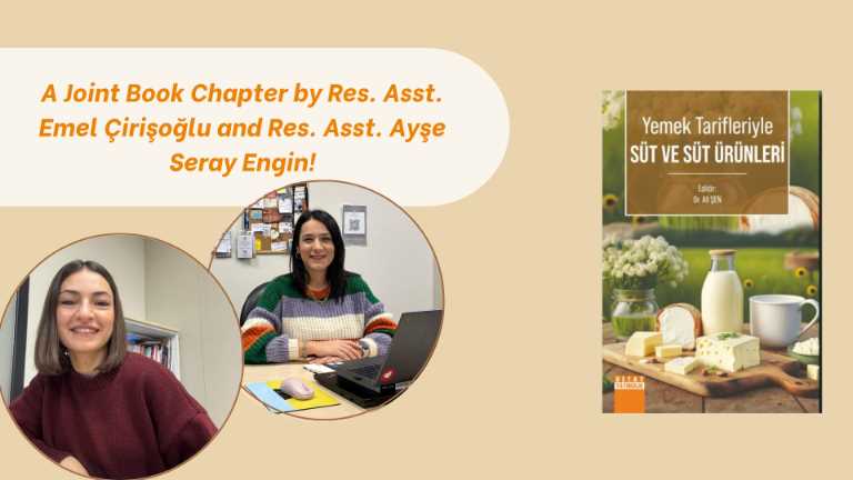 book chapter