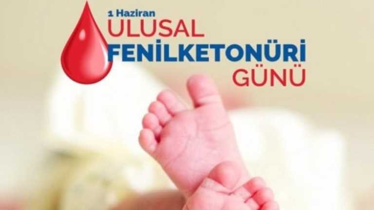 istanbul Gelişim Üniversitesi