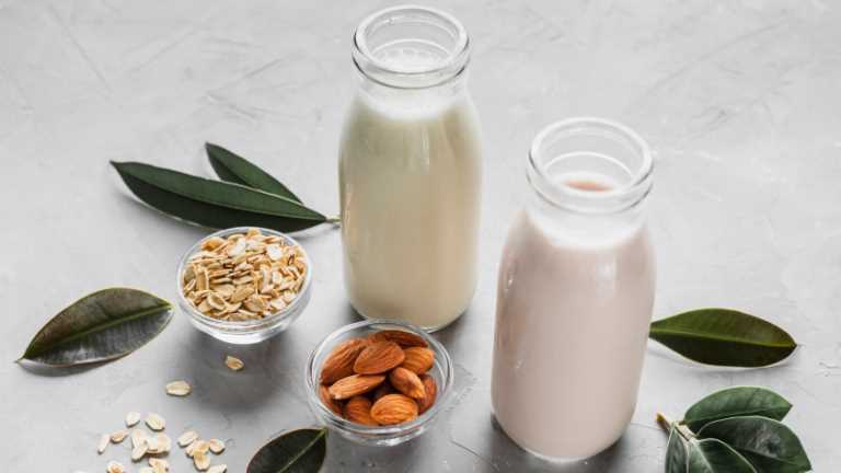 Plant-Based Milk Day