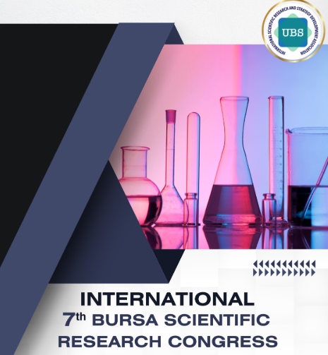 bursa