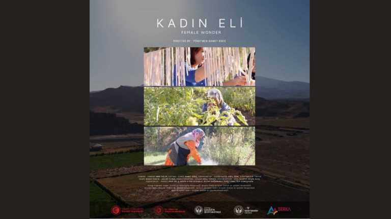 Kadın Eli Hbaer