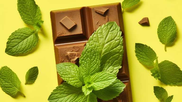 Chocolate Mint Day