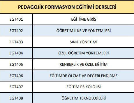 formasyon programı
