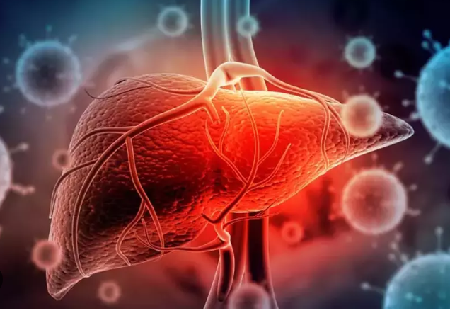 hepatit