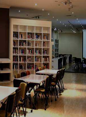 Gelişim Üniversitesi