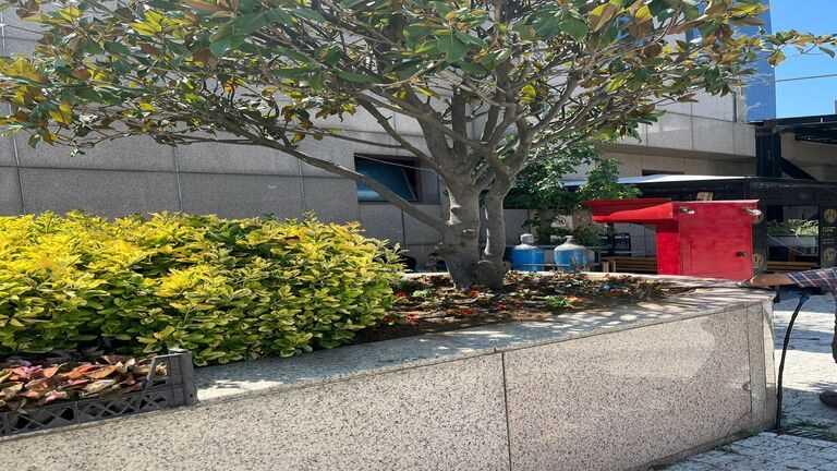 Sustainable Campus