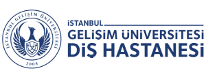 gelişim üniversitesi