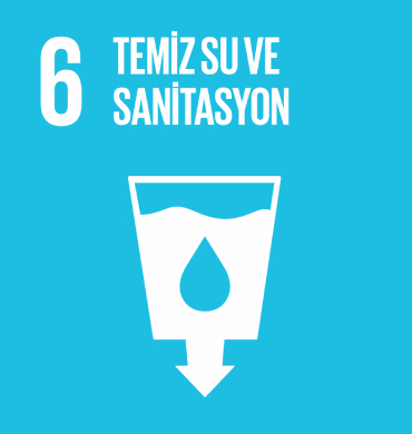 Küresel Amaç