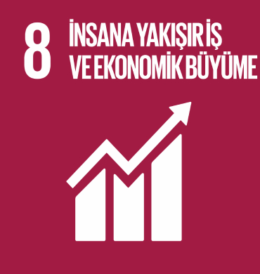 Küresel Amaç