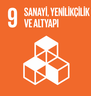 Küresel Amaç