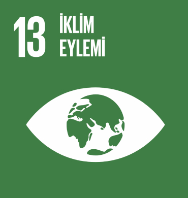 Küresel Amaç