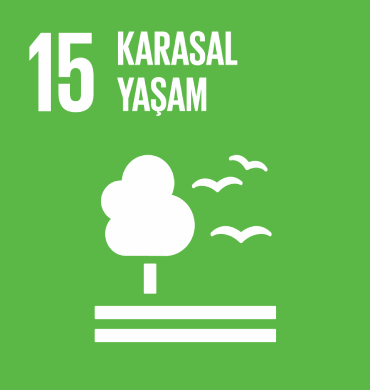 Küresel Amaç