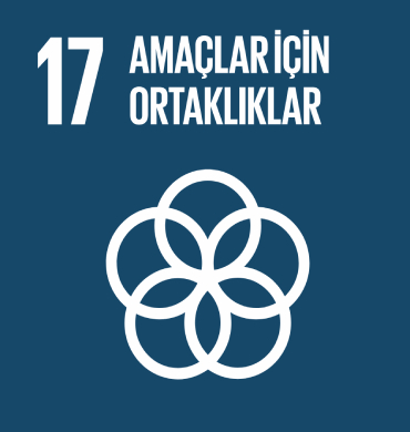 Küresel Amaç