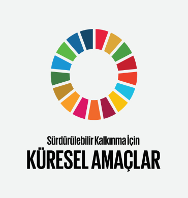 Küresel Amaç