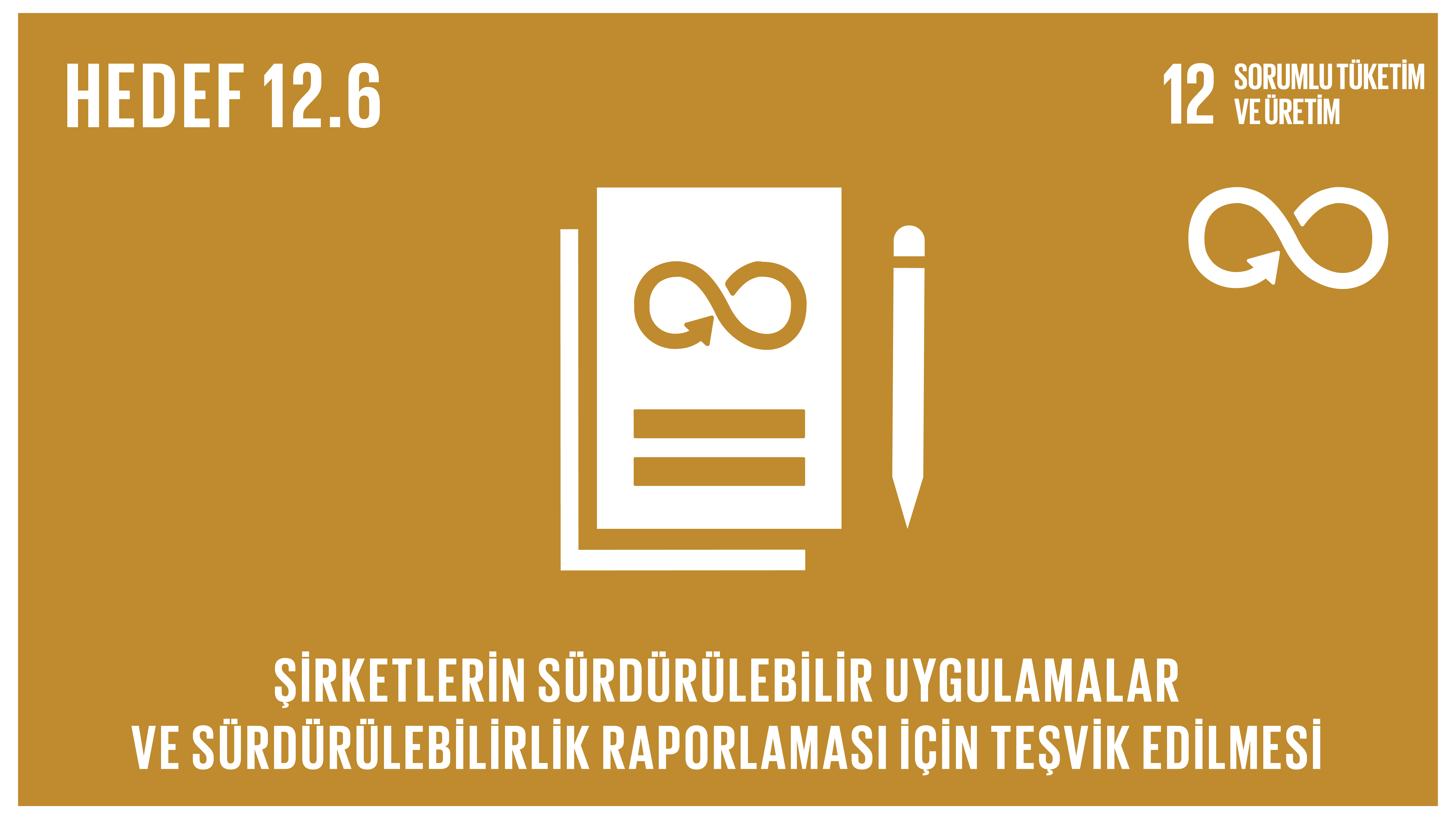 Görsel 6