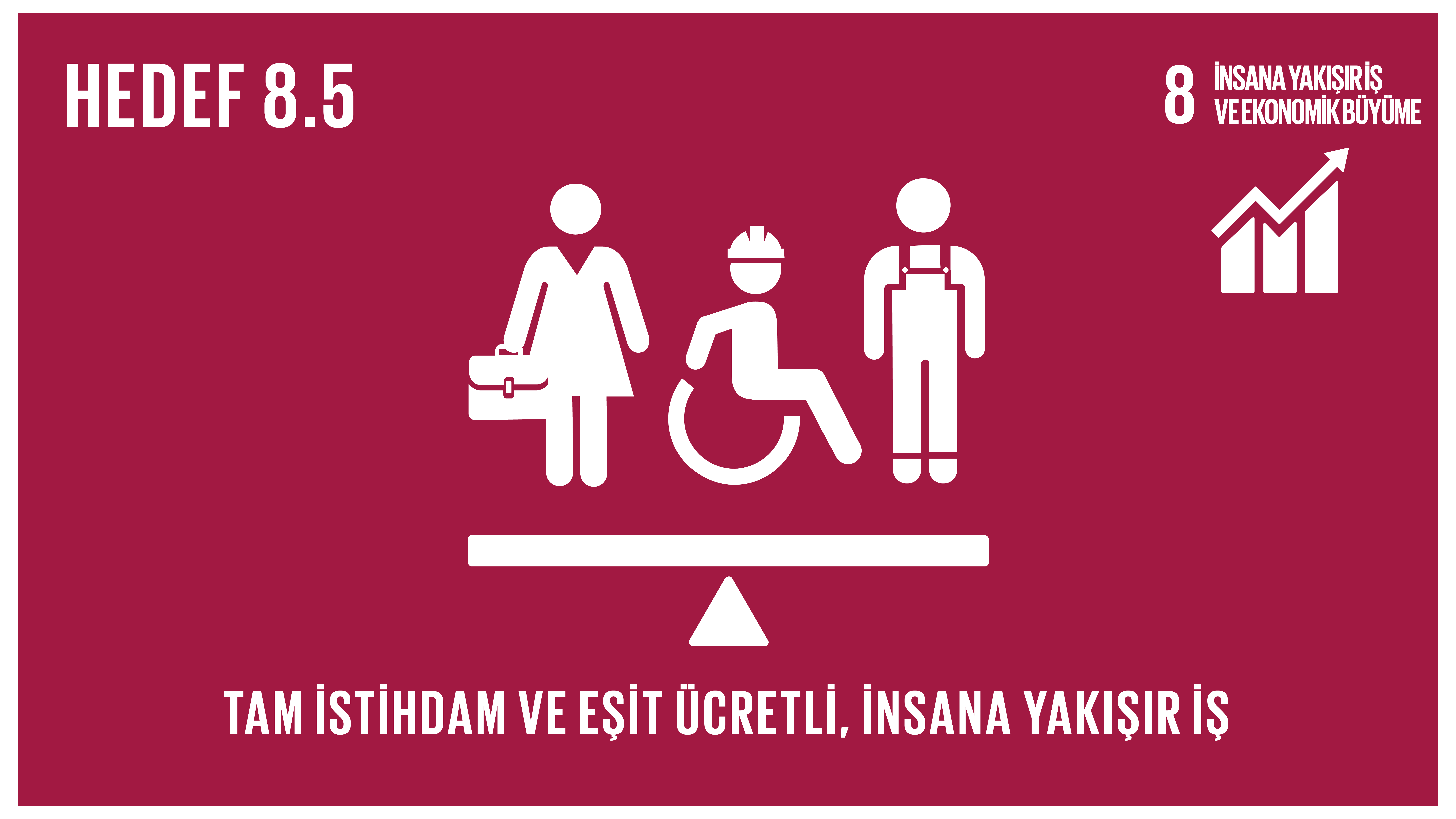 Görsel 5