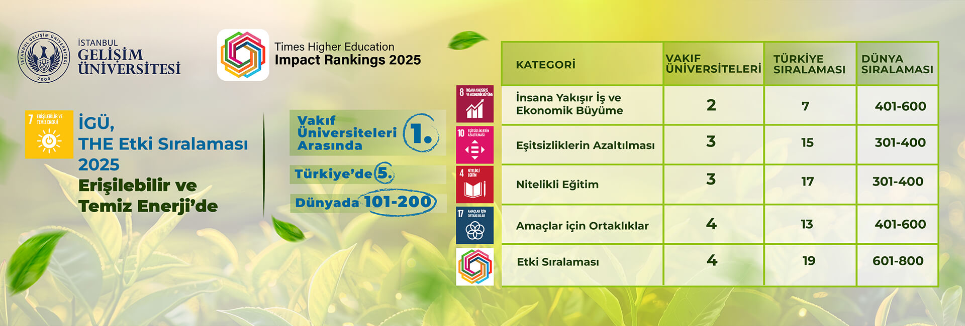 İGÜ, The Etki Sıralaması 2024