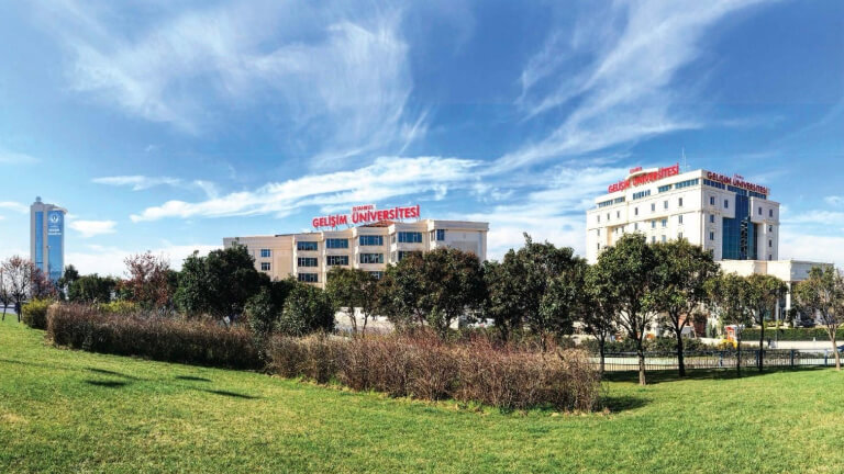 Üniversite Hayatına Hazırlık: İlk Yıl Rehberi