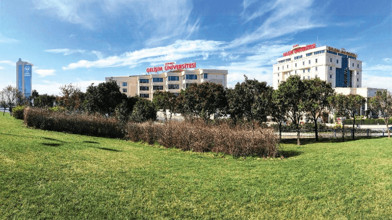 Istanbul Gelisim University Athletes Walked