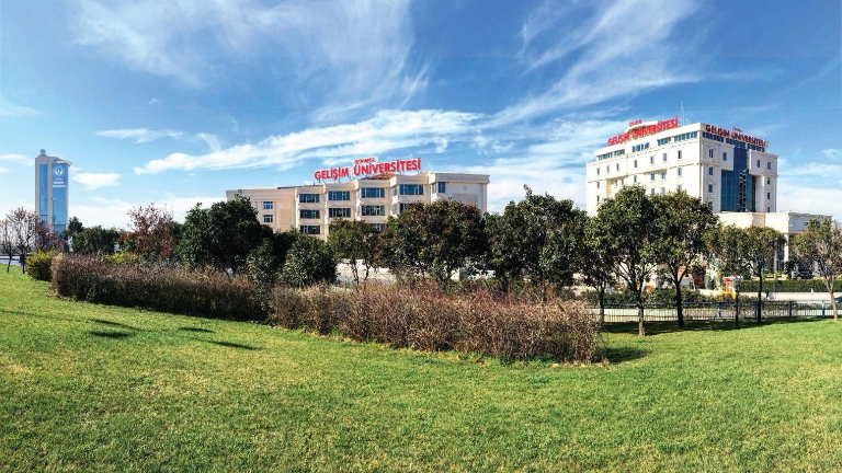 Artan Kene Vakaları Alarm Veriyor: Yaşlılar ve Çocuklar Tehlikede!