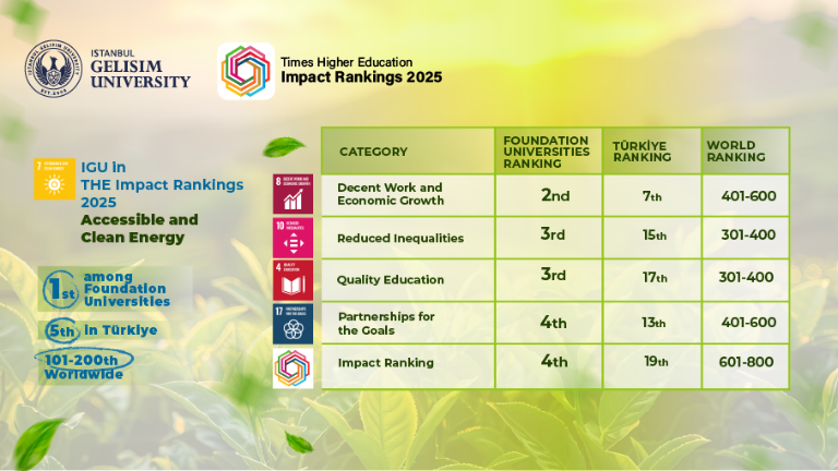 Istanbul Gelisim University Continues its Rise in Sustainability in THE Impact Rankings 2025