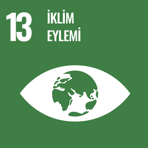 SDG 13