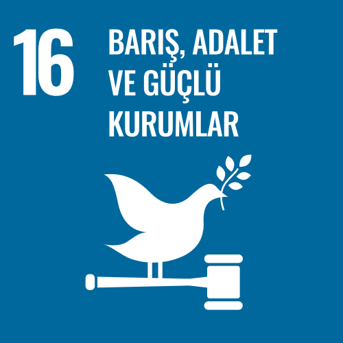 SDG 16