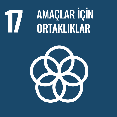 SDG 17