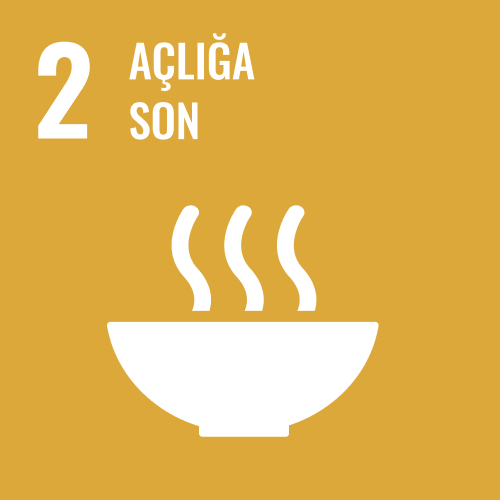 SDG 2