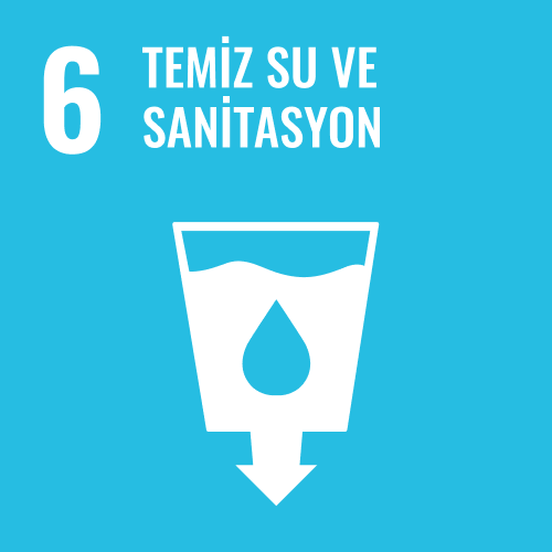SDG 6