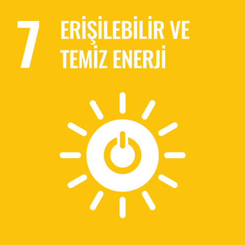SDG 7