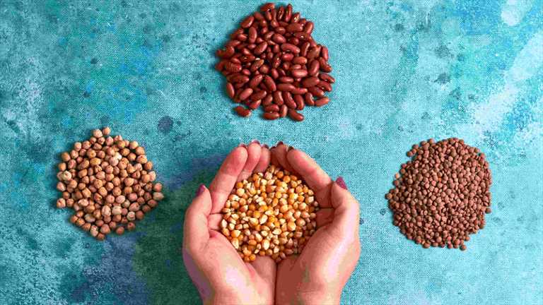 Dünya Kurubaklagil Günü