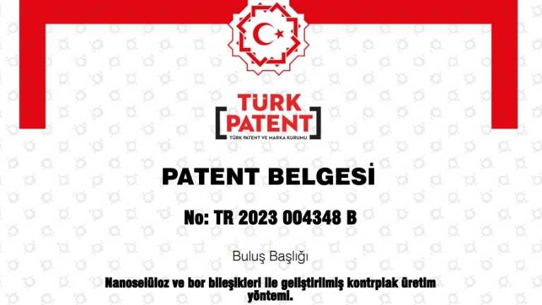The Patent of Asst. Prof. Mert Yildirim Has Been Registered by TÜRKPATENT